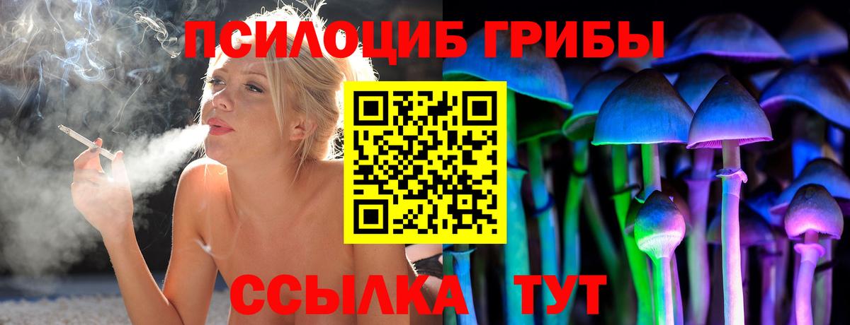 Бердск  Псилоцибиновые грибы прущие грибы  Вход с VPN 